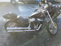 Salvage motorcycles for sale at Baltimore, MD auction: 2023 Harley-Davidson Fxst