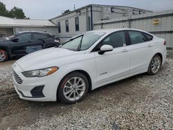 Salvage cars for sale at auction: 2019 Ford Fusion SE