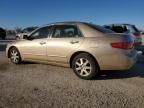 2005 Honda Accord EX