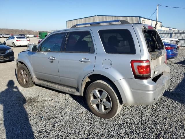 2011 Ford Escape Limited