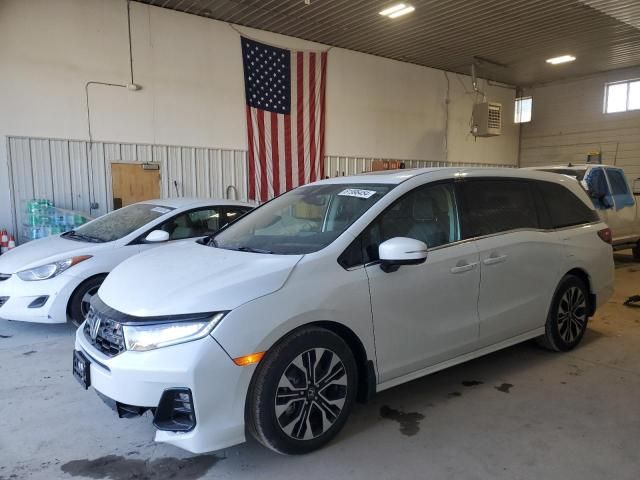 2025 Honda Odyssey Elite