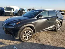 2019 Lexus NX 300 Base en venta en Houston, TX