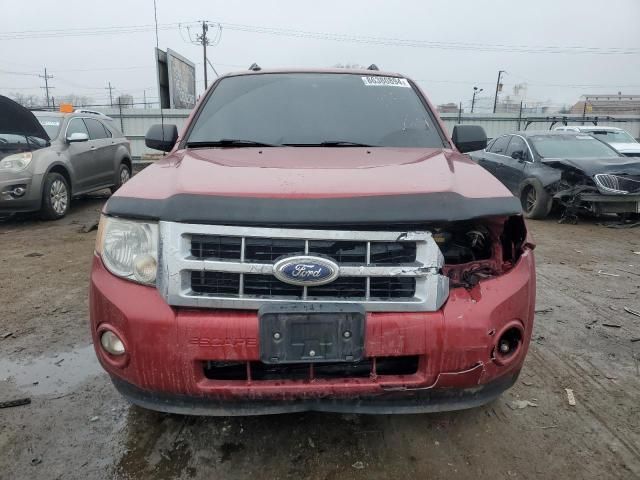 2012 Ford Escape XLT