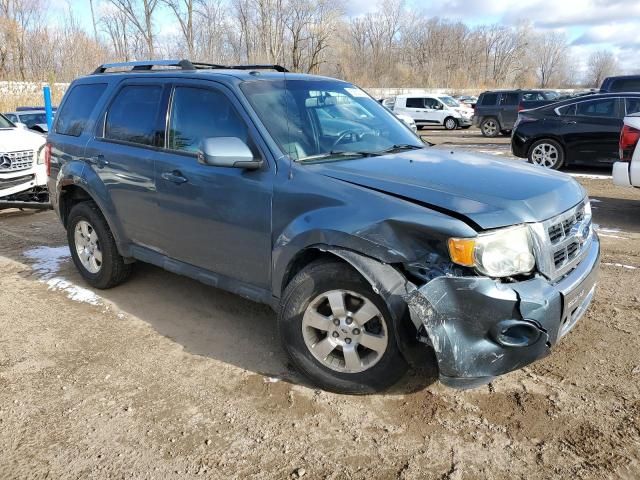 2011 Ford Escape Limited