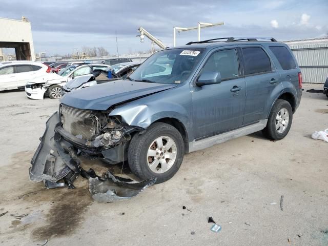 2010 Ford Escape Limited