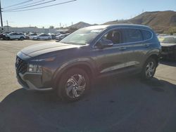 Salvage cars for sale at Colton, CA auction: 2023 Hyundai Santa FE SEL