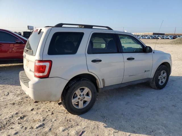 2009 Ford Escape Hybrid