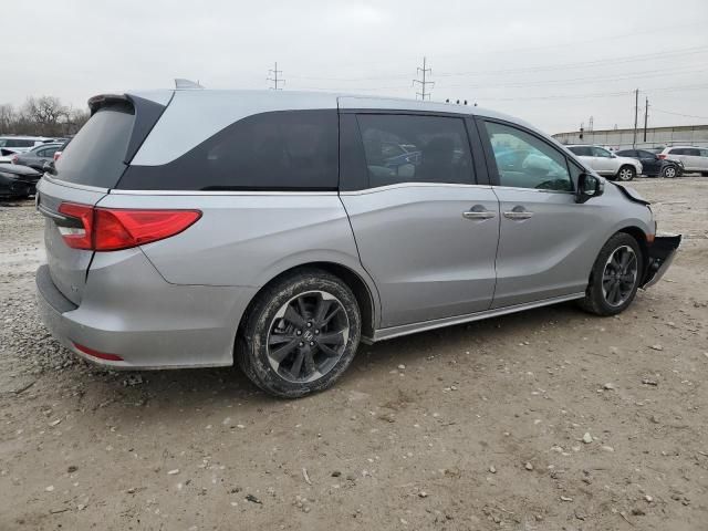 2024 Honda Odyssey Elite