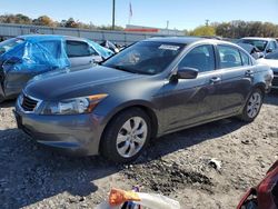 Honda Accord exl salvage cars for sale: 2009 Honda Accord EXL