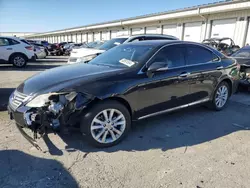 Salvage cars for sale at Louisville, KY auction: 2010 Lexus ES 350