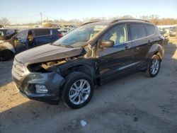 Salvage cars for sale at Louisville, KY auction: 2018 Ford Escape SE