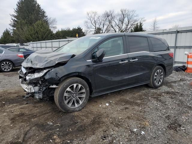 2024 Honda Odyssey EXL