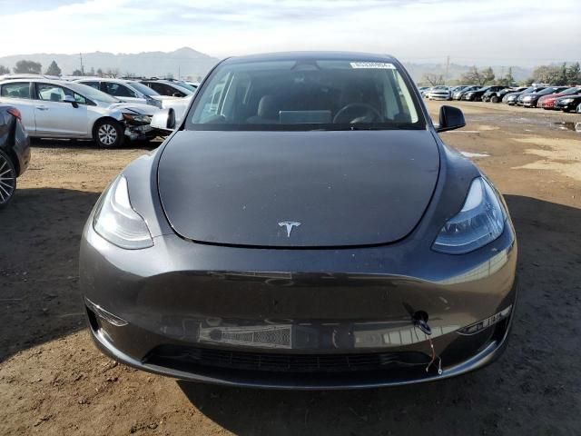 2025 Tesla Model Y