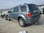 2010 Ford Escape Limited