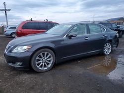 Salvage cars for sale at San Martin, CA auction: 2010 Lexus LS 460