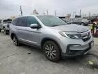 2019 Honda Pilot EXL