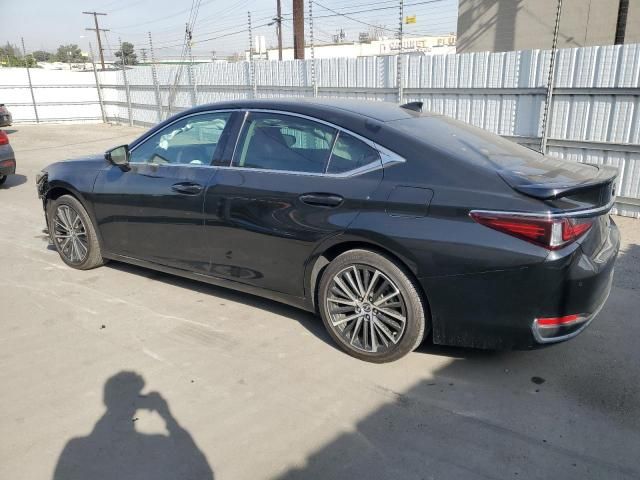 2024 Lexus ES 300H Base