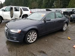 Audi Vehiculos salvage en venta: 2013 Audi A4 Premium Plus