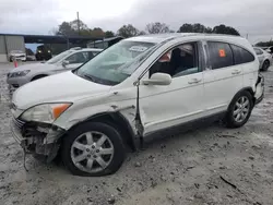 Salvage SUVs for sale at auction: 2007 Honda CR-V EXL