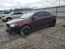 2006 Scion TC en venta en Lawrenceburg, KY