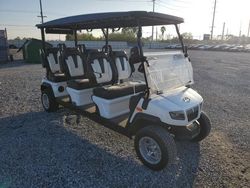 Salvage trucks for sale at Riverview, FL auction: 2024 Gofb Golf Cart