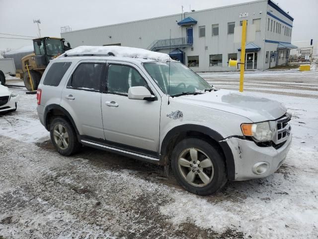 2010 Ford Escape Limited