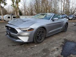 Rental Vehicles for sale at auction: 2022 Ford Mustang