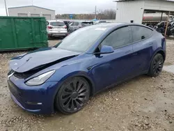 2023 Tesla Model Y en venta en Memphis, TN