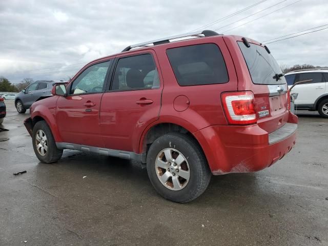 2010 Ford Escape Limited