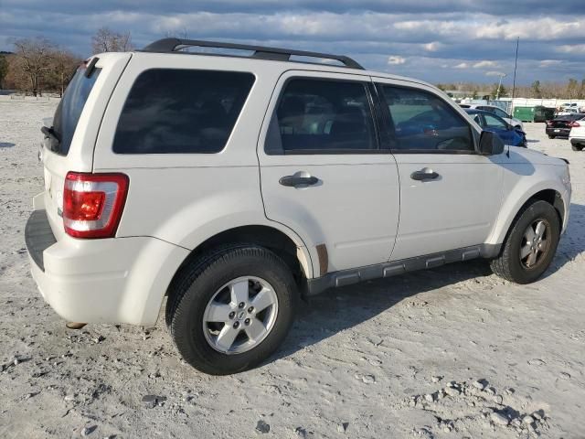 2010 Ford Escape XLT