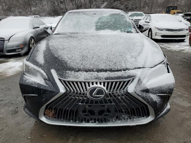 2021 Lexus ES 250 Base