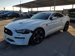 Salvage cars for sale at Anthony, TX auction: 2019 Ford Mustang