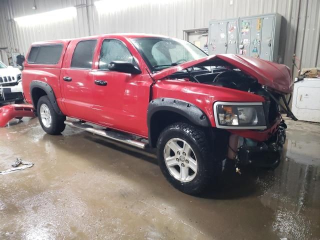 2011 Dodge Dakota SLT