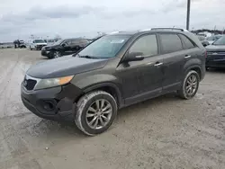 KIA Vehiculos salvage en venta: 2011 KIA Sorento EX