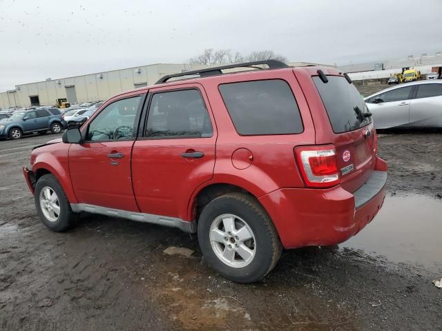 2009 Ford Escape XLT