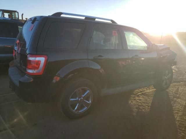 2008 Ford Escape Limited