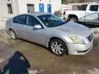 2004 Nissan Maxima SE