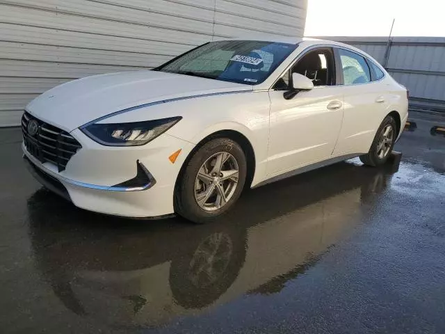 2020 Hyundai Sonata SE