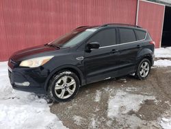 2015 Ford Escape SE en venta en London, ON