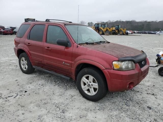 2006 Ford Escape HEV