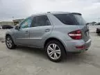 2010 Mercedes-Benz ML 350