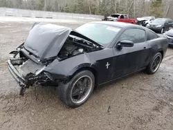 Salvage cars for sale at Cookstown, ON auction: 2014 Ford Mustang