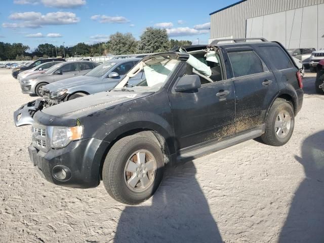 2011 Ford Escape XLT