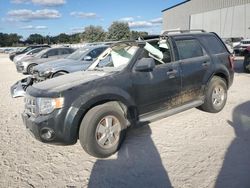 2011 Ford Escape XLT en venta en Apopka, FL