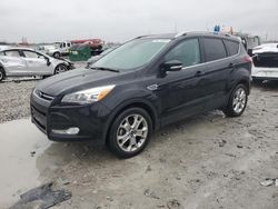 Salvage cars for sale at Cahokia Heights, IL auction: 2016 Ford Escape Titanium