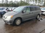 2008 Honda Odyssey EXL