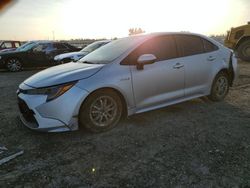 Salvage vehicles for parts for sale at auction: 2020 Toyota Corolla LE