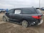 2021 Honda Odyssey EXL