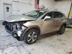 Lexus nx Vehiculos salvage en venta: 2021 Lexus NX 300H Base