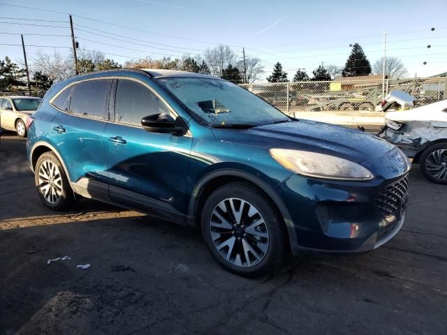 2020 Ford Escape SE Sport